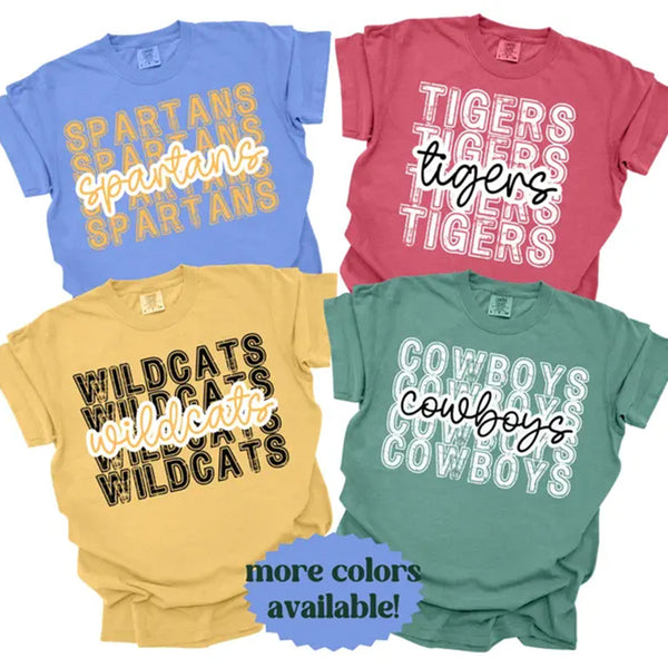 School Team Name Shirts, custom mascot shirts
