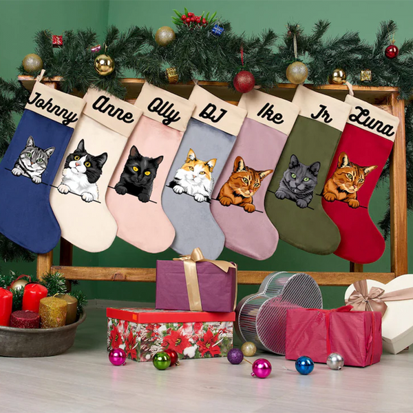 Personalized Cat Pet Velvet Christmas Stocking