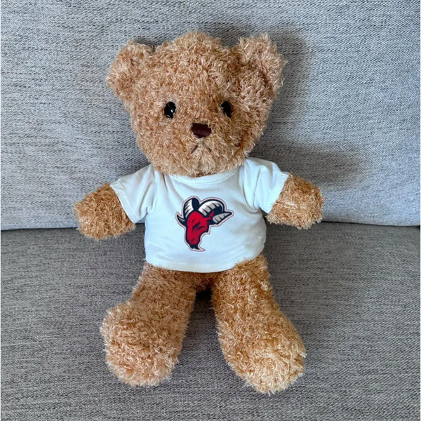 Custom College Apparel, Teddy Bear with Tee Shirt, Logo