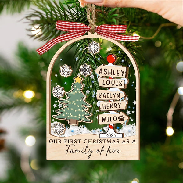 Personalized Family Christmas Ornament: Acrylic Shaker Ornament