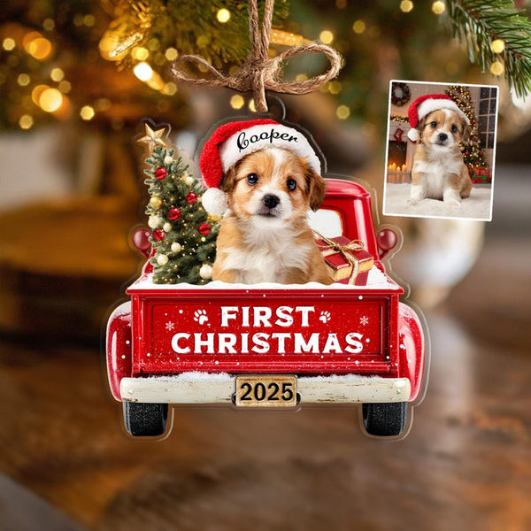 Custom Pet's First Christmas Ornament, Pet Photo Ornament